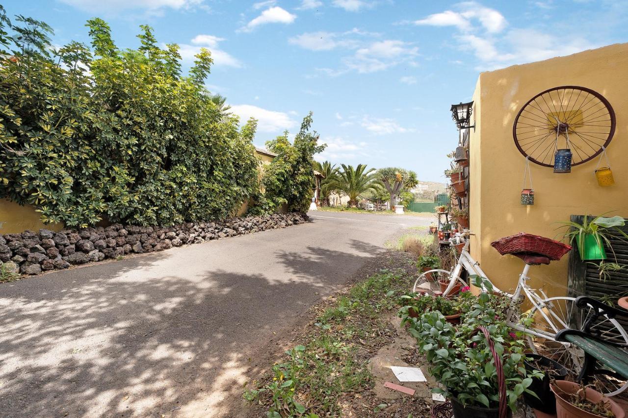 Apartamento P Armonia Rural Granadilla De Abona Eksteriør billede